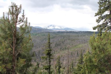 Deschutes vahşi, bend, oregon