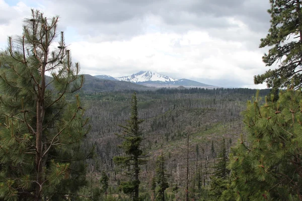 Deschutes Selvagem, curva, oregon — Fotografia de Stock