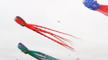 Uçurtma Festivali California