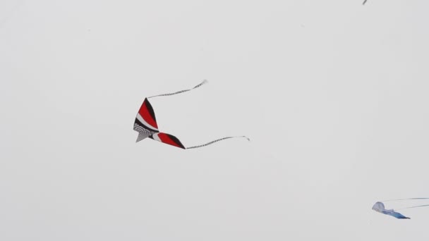 风筝节加州 — 图库视频影像