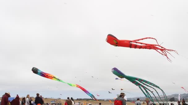 Kite Festival Kalifornie — Stock video