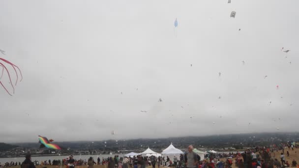 Kite Festival Californië — Stockvideo