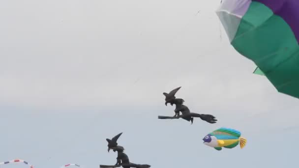 Kite Festival Californië — Stockvideo