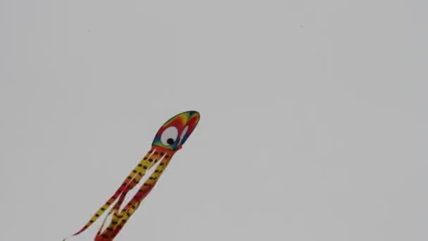 Kite Festival California — Stock Video