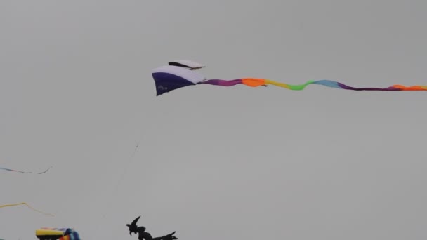 Kite Festival Californië — Stockvideo