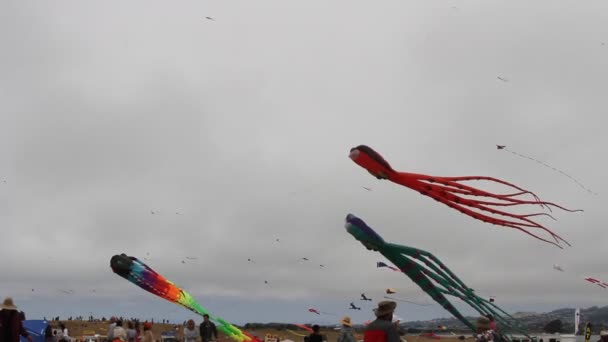 Kite Festival California — Stock Video