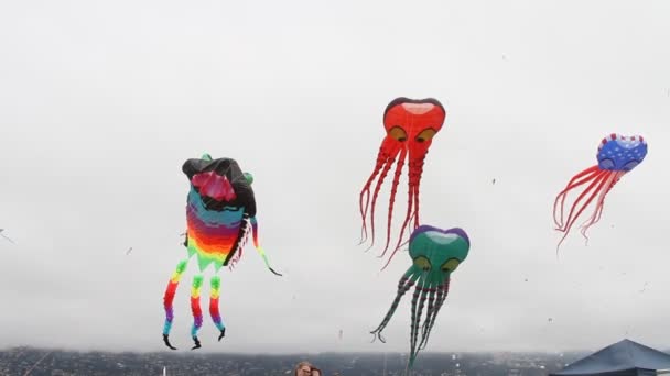 Kite Festival Californië — Stockvideo