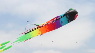 Uçurtma Festivali California