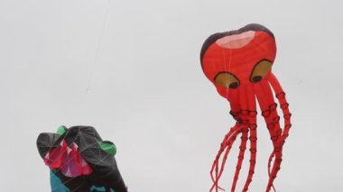 Uçurtma Festivali California