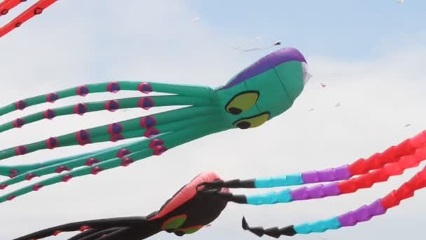 Kite Festival Californië — Stockvideo