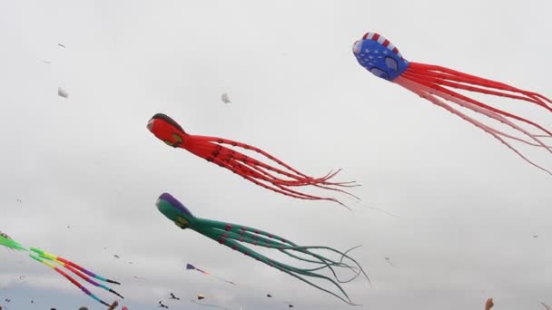 Kite Festival Californië — Stockvideo