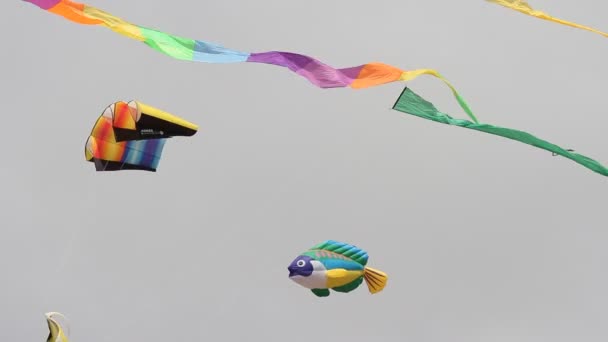 Kite Fesztivál California — Stock videók