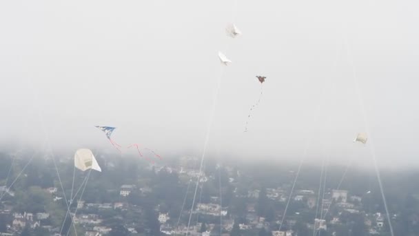 Kite Festival California — Stock Video