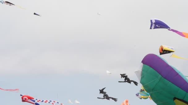 Kite festival california — Stock Video