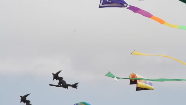 Kite Festival Californië — Stockvideo