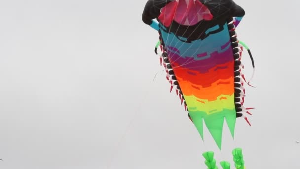 Kite Festival Californië — Stockvideo