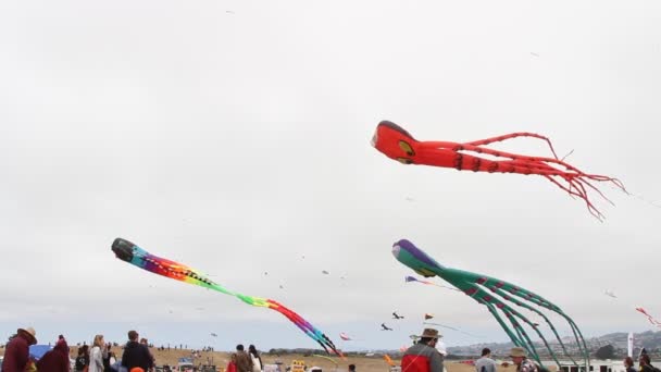 Kite festival california — Stock Video