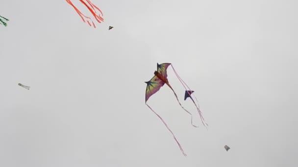 Kite Festival Californië — Stockvideo