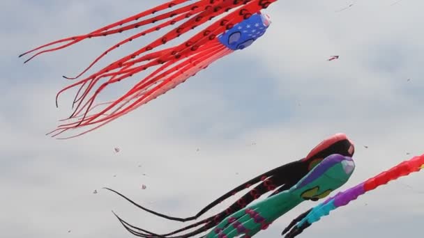 Kite Festival California — Stock Video