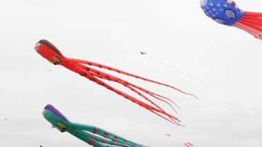 Uçurtma Festivali California