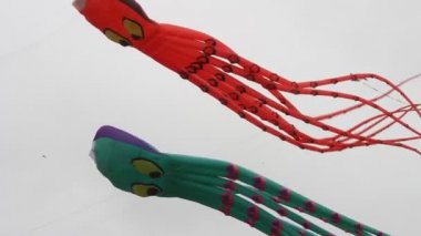 Uçurtma Festivali California