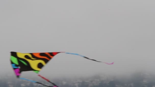 Kite Festival Californië — Stockvideo