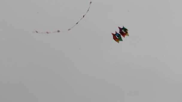 Kite Festival Californië — Stockvideo