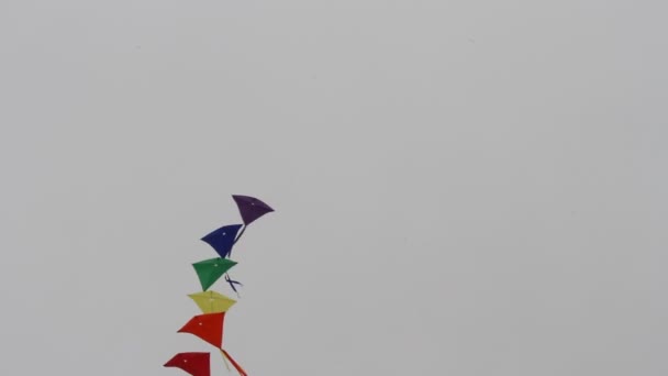 カリフォルニア州凧祭り — ストック動画
