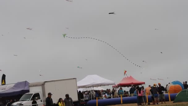 Kite Festival Californië — Stockvideo