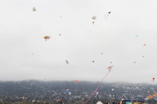 カリフォルニア州凧祭り — ストック写真