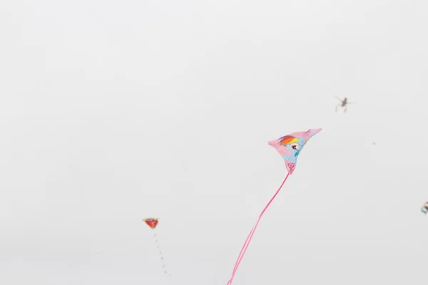 Kite Festival California — Stock Photo, Image
