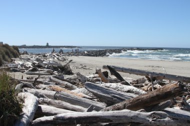 Oregon sahil şeridi