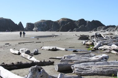 Oregon sahil şeridi