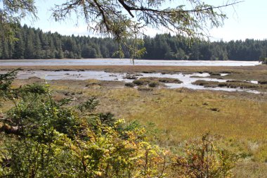 Oregon sahil şeridi