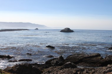 Oregon sahil şeridi