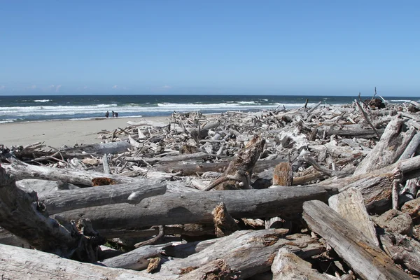 Coastline of oregon — Stock Photo, Image