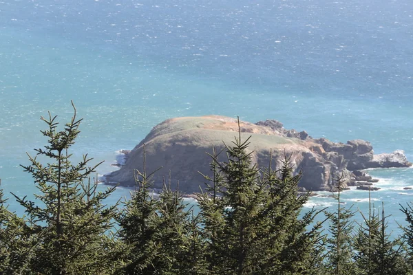 Kustlijn van oregon — Stockfoto