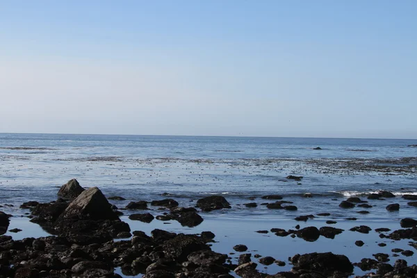 Coastline of oregon — Stock Photo, Image