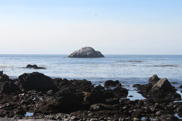 Coastline of oregon — Stock Photo, Image