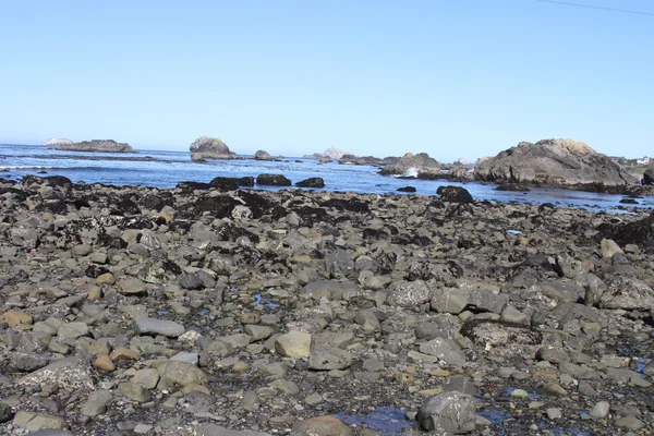 Coastline of oregon — Stock Photo, Image