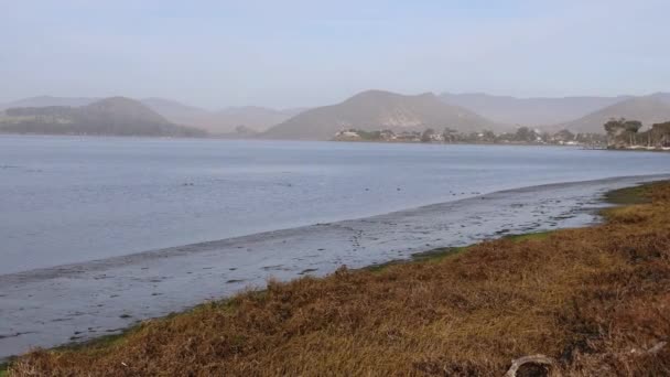 カリフォルニア州モロベイ 水とビーチ — ストック動画