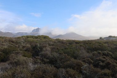 Morro Bay California 'daki doğa, plajlar, akarsular ve nehirler.