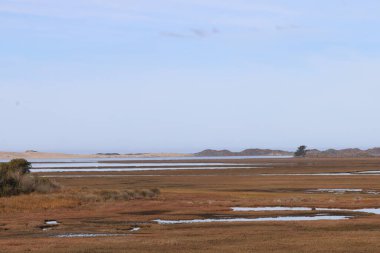 Morro Bay California 'daki doğa, plajlar, akarsular ve nehirler.