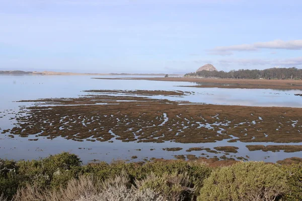 Natura Plaże Strumienie Rzeki Morro Bay California — Zdjęcie stockowe