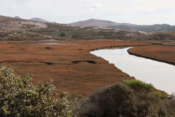 Natura Plaże Strumienie Rzeki Morro Bay California — Zdjęcie stockowe