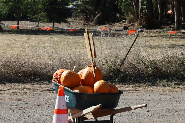 2021 Half Moon Bay California Pumpkin Festival Half Moon Bay — Stock Photo, Image