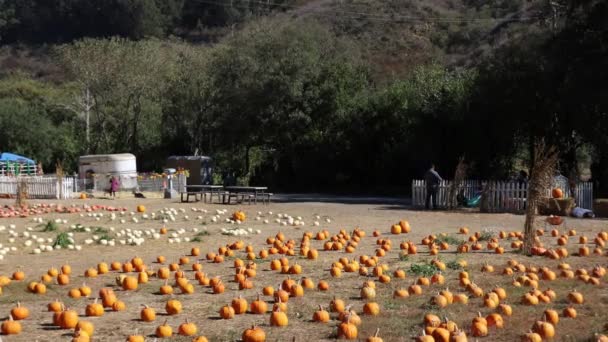 2020 Half Moon Bay Καλιφόρνια Φεστιβάλ Κολοκύθας — Αρχείο Βίντεο