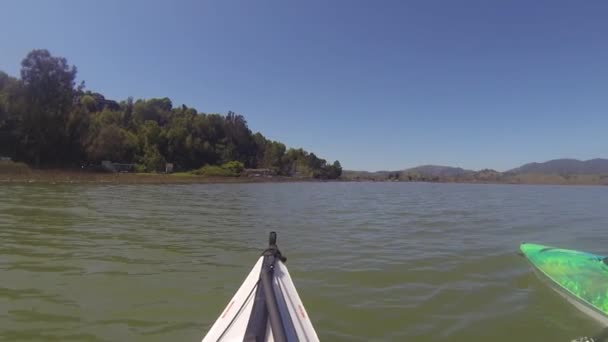 Paddling Gallinas Creek California — Videoclip de stoc