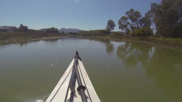 Paleando Gallinas Creek California — Vídeos de Stock