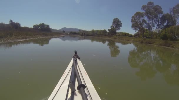 Paddling Gallinas Creek California — Stockvideo